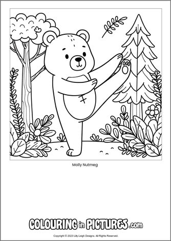 Free printable bear colouring in picture of Molly Nutmeg