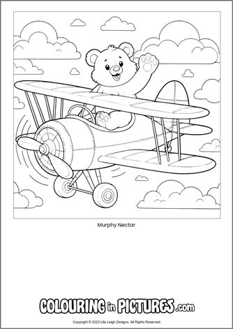 Free printable bear colouring in picture of Murphy Nectar