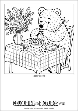 Free printable bear colouring in picture of Nectar Cuddle