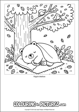 Free printable bear colouring in picture of Pippin Mellow