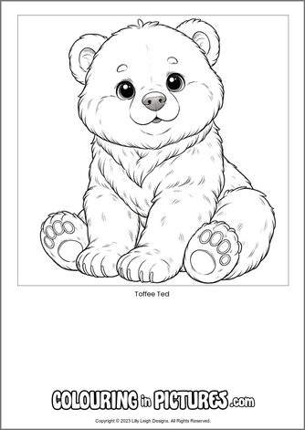 Free printable bear colouring in picture of Toffee Ted