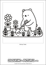 Free printable bear themed colouring page of a bear. Colour in Barney Tinker.