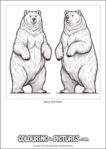 Free printable bear themed colouring page of a bear. Colour in Berry and Paws.