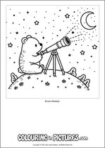 Free printable bear themed colouring page of a bear. Colour in Bruno Breezy.