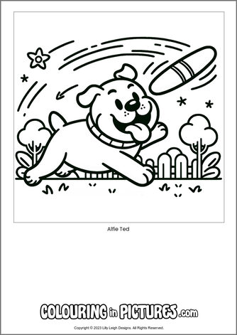 Free printable dog colouring in picture of Alfie Ted