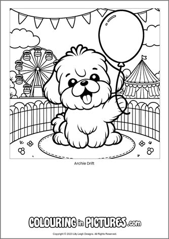 Free printable dog colouring in picture of Archie Drift