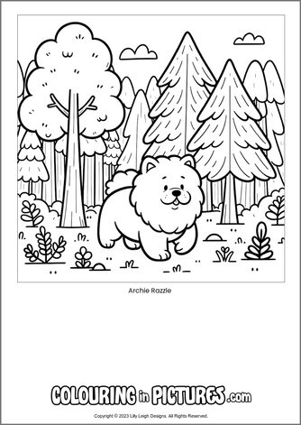 Free printable dog colouring in picture of Archie Razzle