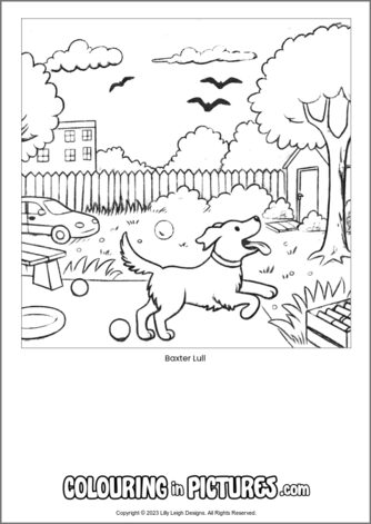 Free printable dog colouring in picture of Baxter Lull