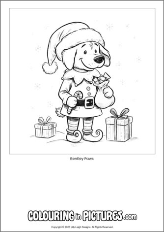 Free printable dog colouring in picture of Bentley Paws