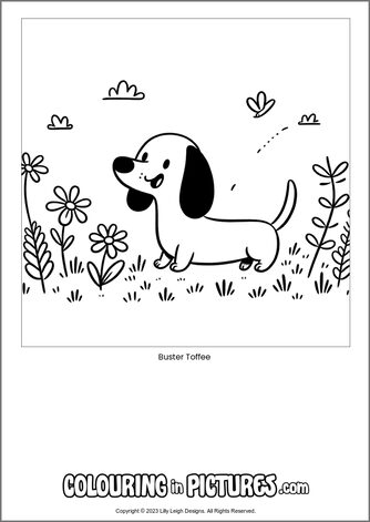 Free printable dog colouring in picture of Buster Toffee