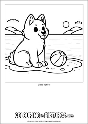Free printable dog colouring in picture of Callie Toffee