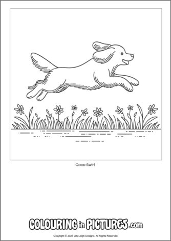 Free printable dog colouring in picture of Coco Swirl