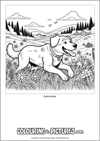 Free printable dog colouring in picture of Duke Razzle
