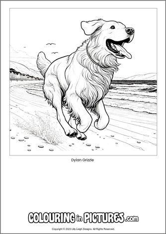 Free printable dog colouring in picture of Dylan Grizzle
