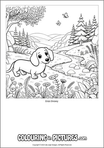 Free printable dog colouring in picture of Enzo Snowy