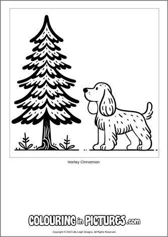 Free printable dog colouring in picture of Harley Cinnamon