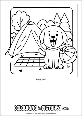 Free printable dog colouring in picture of Harry Swirl