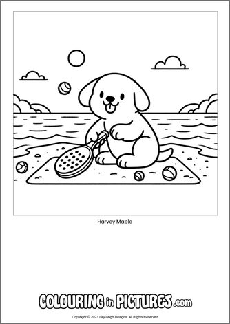 Free printable dog colouring in picture of Harvey Maple
