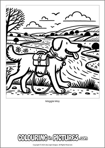Free printable dog colouring in picture of Maggie May