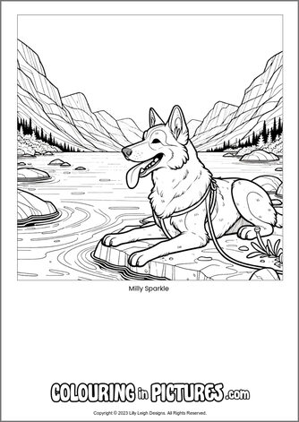 Free printable dog colouring in picture of Milly Sparkle