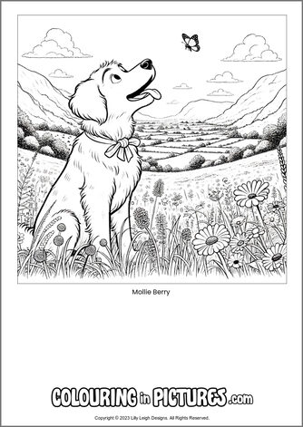 Free printable dog colouring in picture of Mollie Berry