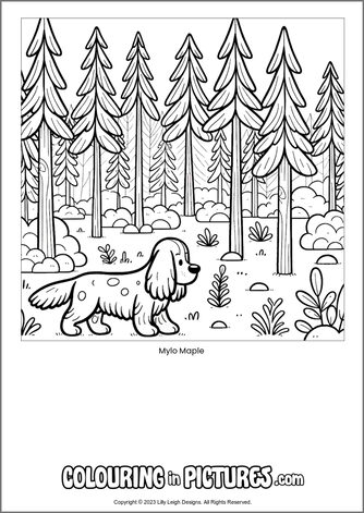 Free printable dog colouring in picture of Mylo Maple
