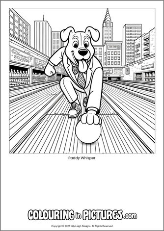Free printable dog colouring in picture of Paddy Whisper