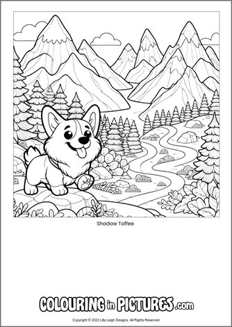 Free printable dog colouring in picture of Shadow Toffee
