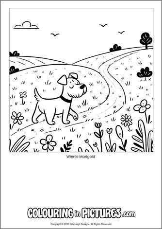Free printable dog colouring in picture of Winnie Marigold