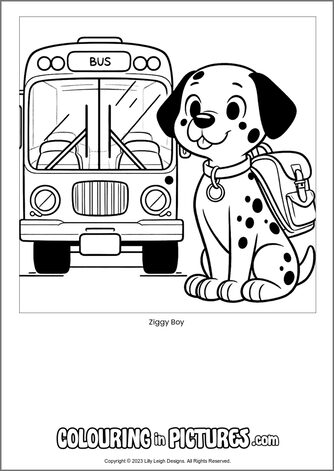 Free printable dog colouring in picture of Ziggy Boy