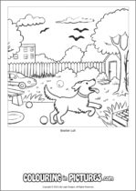 Free printable dog themed colouring page of a dog. Colour in Baxter Lull.