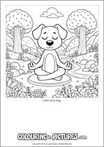 Free printable dog colouring page. Colour in Calm Lotus Dog.