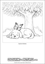 Free printable dog themed colouring page of a dog. Colour in Daphne Pebbles.