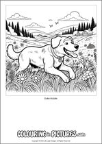 Free printable dog themed colouring page of a dog. Colour in Duke Razzle.