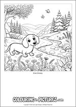 Free printable dog colouring page. Colour in Enzo Snowy.