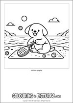 Free printable dog themed colouring page of a dog. Colour in Harvey Maple.