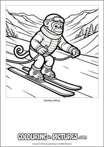 Free printable monkey colouring in picture of Monkey Skiing