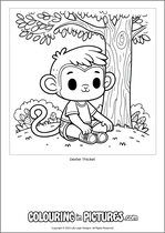 Free printable monkey themed colouring page of a monkey. Colour in Dexter Thicket.