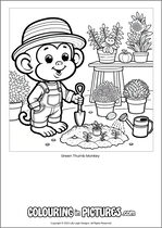 Free printable monkey themed colouring page of a monkey. Colour in Green Thumb Monkey.