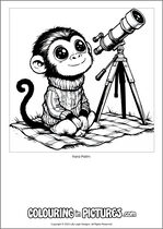 Free printable monkey themed colouring page of a monkey. Colour in Yara Palm.